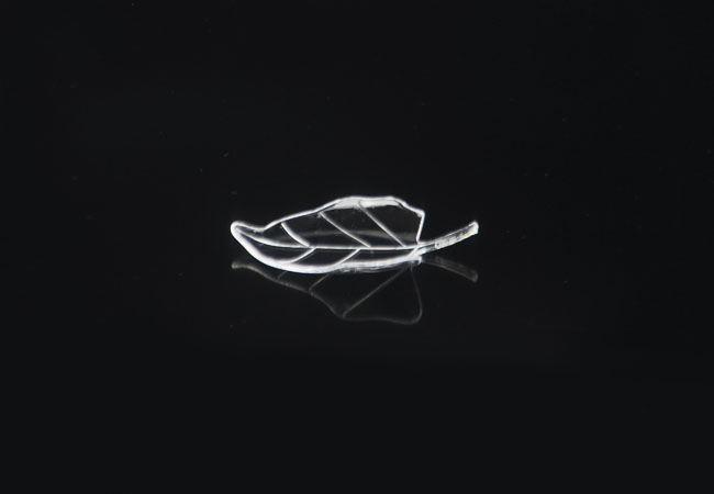 Lovely Leaf Shaped Disposable Plastic Appetizer Miniatures