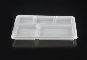 Large 5 Compartment Rectangular Disposable Plastic Plate