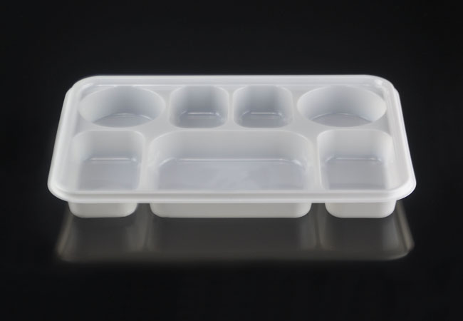 Large Rectangular Disposable Plastic Plate with 7 sections