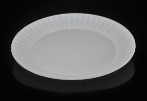 10 1/4" white heavy duty disposable plastic dinner plate