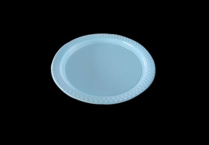10"Disposable Plastic Banquet Plate