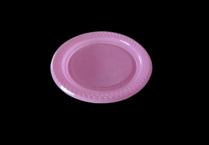 7"Disposable Plastic Banquet Plate