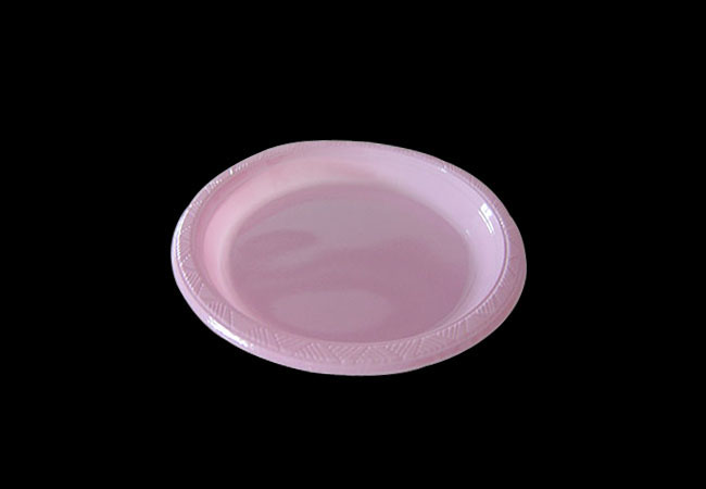 10"Disposable Plastic Banquet Plate
