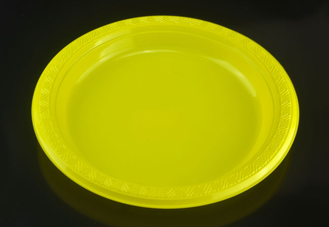 7"Disposable Plastic Banquet Plate