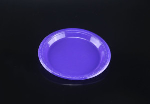 7"Disposable Plastic Banquet Plate