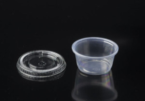 2.5oz Disposable Plastic PP Souffle/Portion Cup