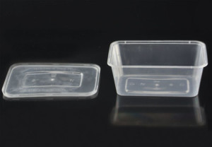 20oz/600ml Rectangular Microwavable Plastic Container with Lid