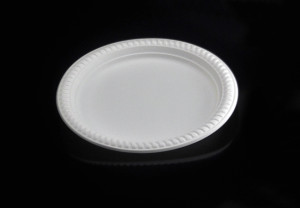 9" biodegradable disposable cornstarch plate