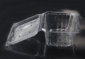 clear disposable PET plastic vented containers with hinged lid for fruit