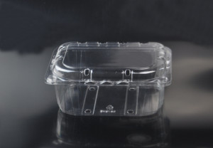 vented disposable plastic PET clear fruit clamshell containers, PET hinged lid fruit boxes