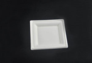 bagasse square plate